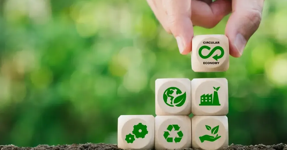 Circular economy: Key concepts, benefits, and real-world applications