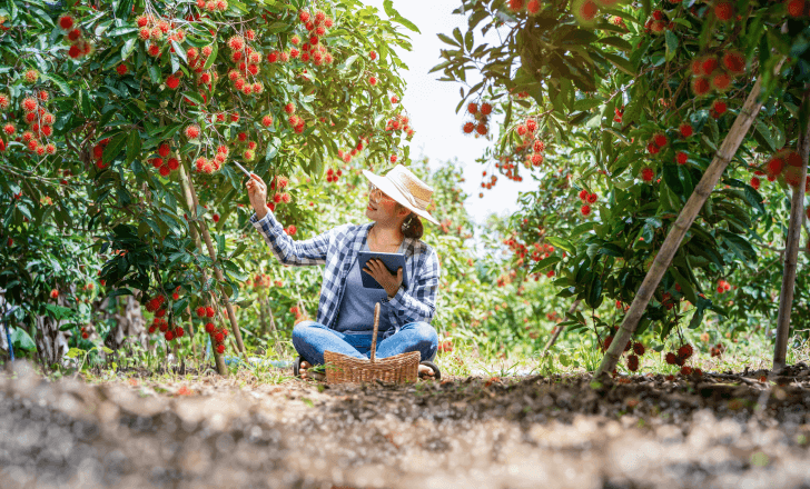 Implications for the agricultural sector