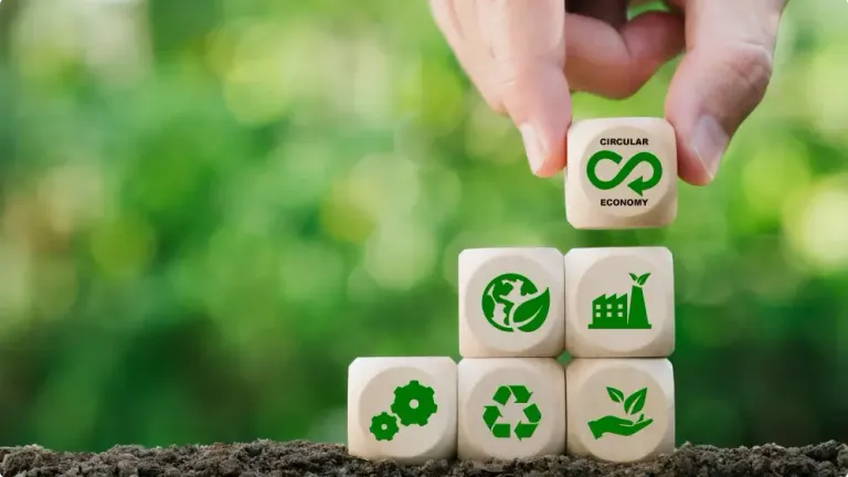 Circular economy: Key concepts, benefits, and applications