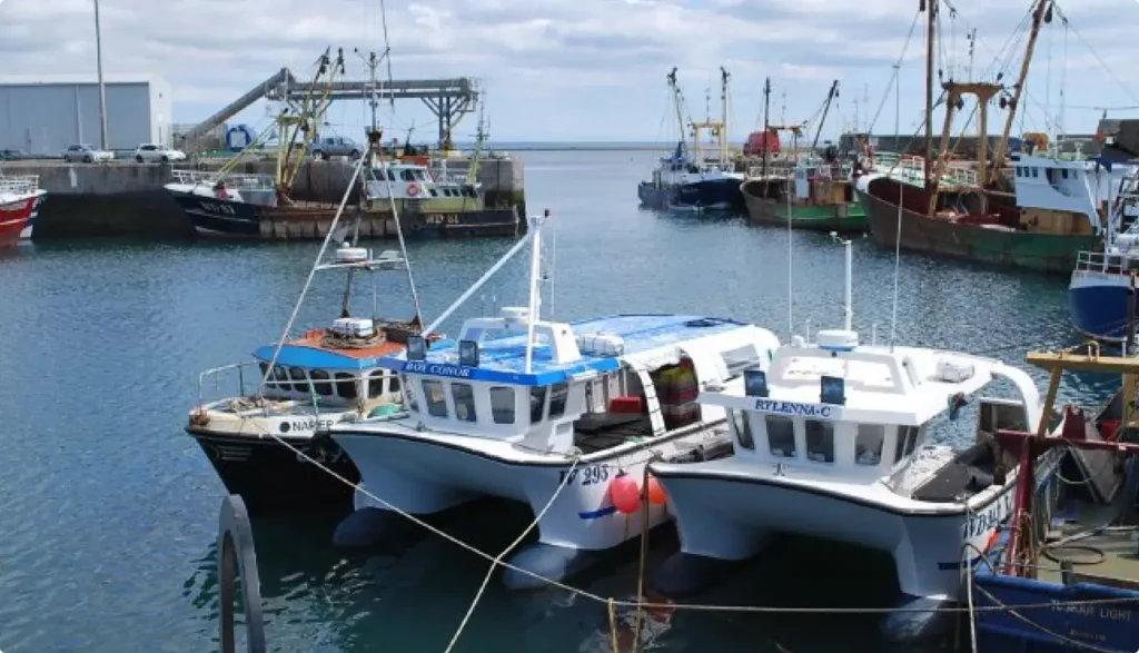 NIFA has transformed their seafood packaging into a powerful communication channel